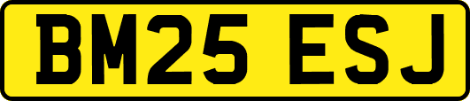 BM25ESJ