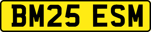 BM25ESM