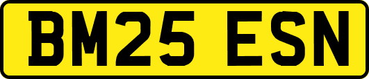 BM25ESN