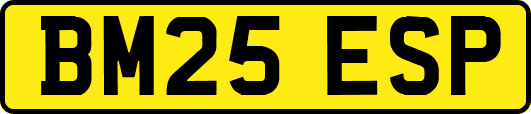 BM25ESP