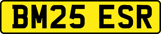 BM25ESR