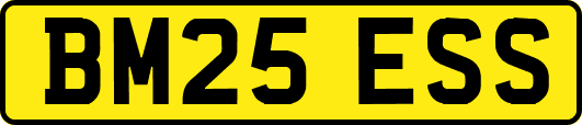BM25ESS
