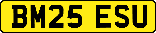 BM25ESU