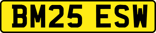 BM25ESW