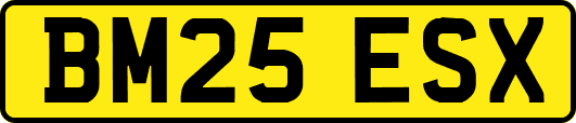BM25ESX