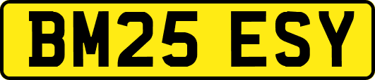 BM25ESY