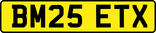 BM25ETX
