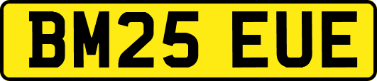 BM25EUE