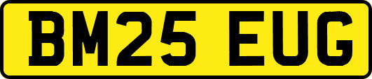 BM25EUG