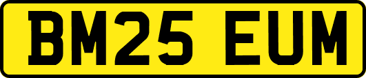 BM25EUM