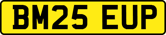 BM25EUP
