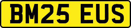 BM25EUS