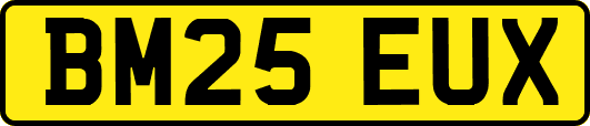 BM25EUX