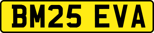 BM25EVA