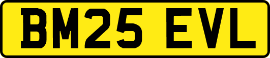 BM25EVL