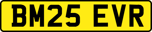 BM25EVR