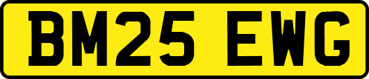 BM25EWG
