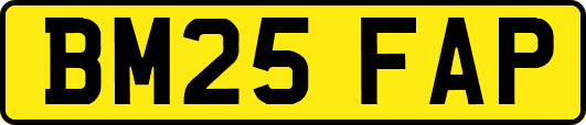 BM25FAP