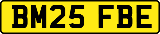 BM25FBE