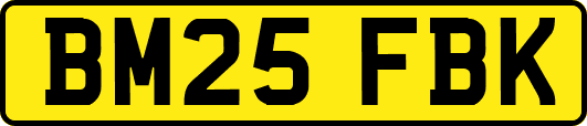 BM25FBK