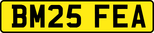 BM25FEA