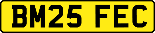 BM25FEC