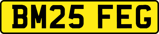 BM25FEG