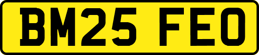 BM25FEO