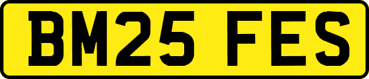 BM25FES