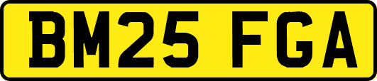 BM25FGA