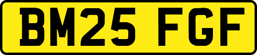 BM25FGF