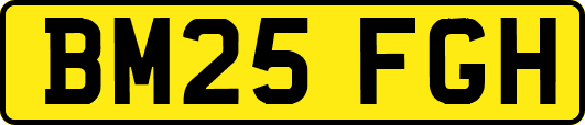 BM25FGH