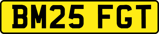 BM25FGT