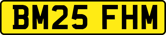 BM25FHM