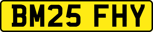 BM25FHY