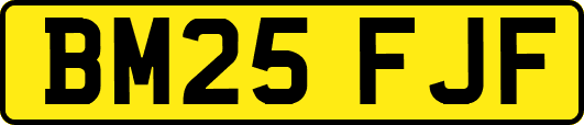 BM25FJF