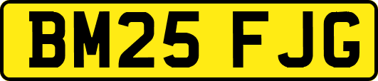 BM25FJG