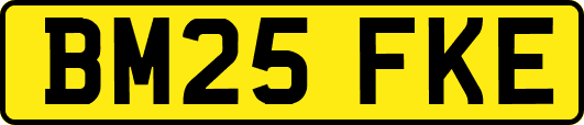 BM25FKE