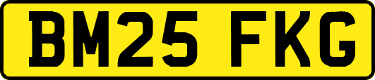BM25FKG