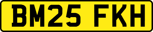 BM25FKH