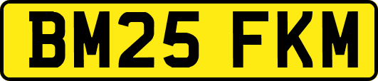BM25FKM