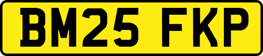 BM25FKP
