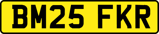 BM25FKR