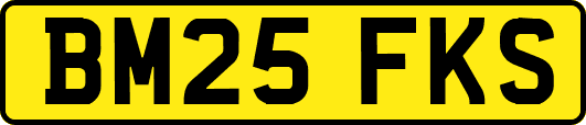 BM25FKS