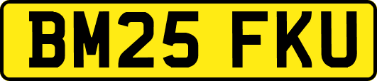 BM25FKU