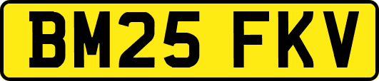 BM25FKV