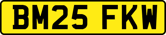 BM25FKW