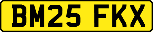 BM25FKX