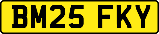 BM25FKY