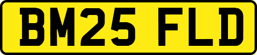 BM25FLD